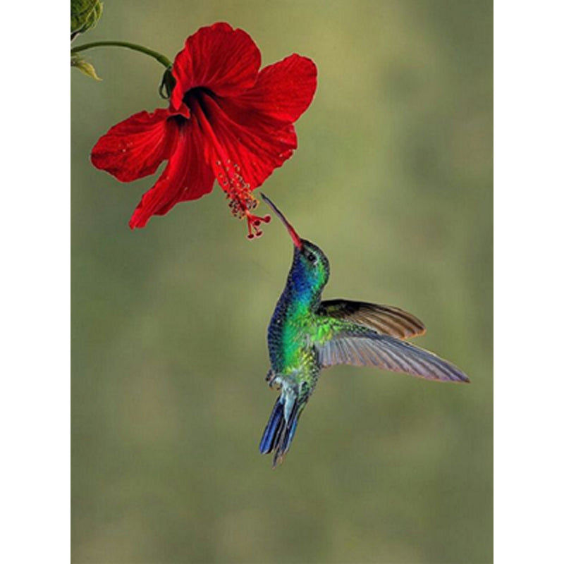 Diamond Painting - Full Square - Bird holding flower in mouth (30*40CM)