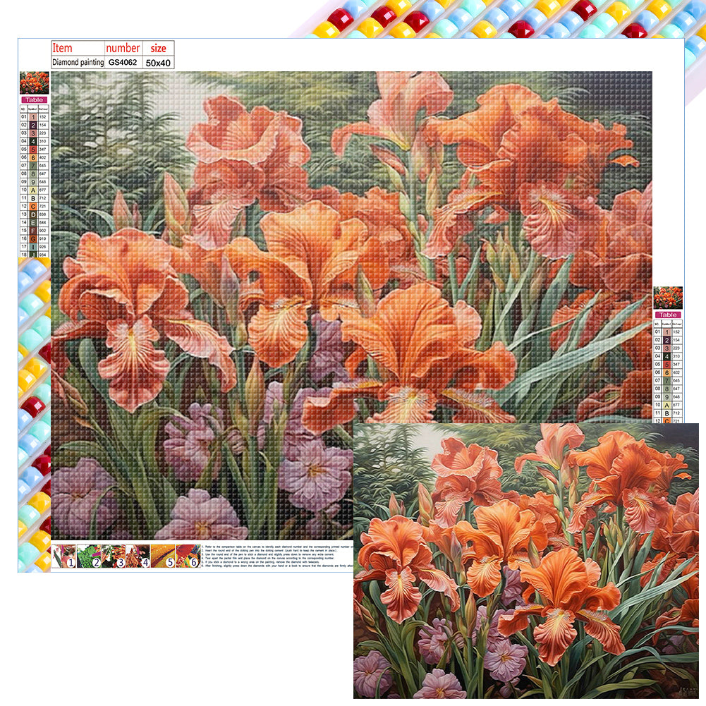 Diamond Painting - Full Square - poppy flower (50*40CM)