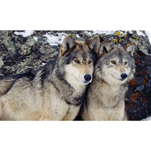 Load image into Gallery viewer, Diamond Painting - Full Round - Wolf (50*30CM)
