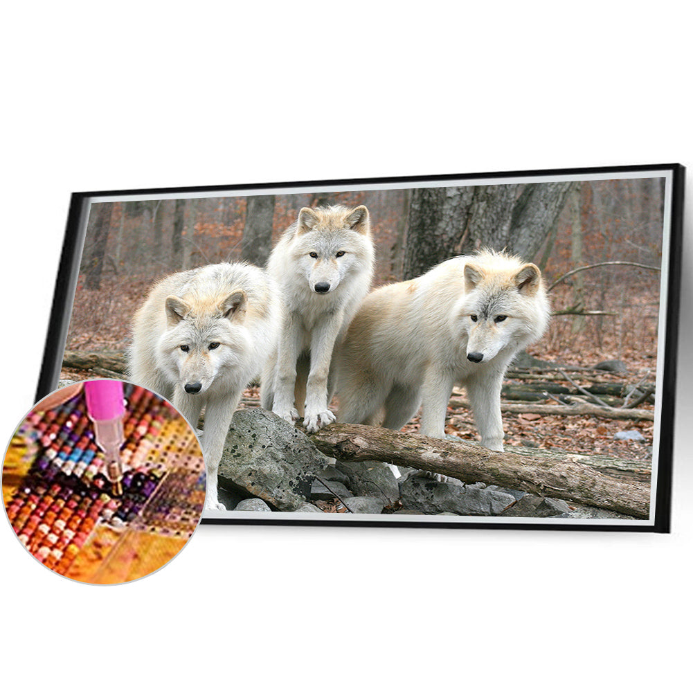 Diamond Painting - Full Round - Wolf (50*30CM)