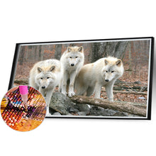 Load image into Gallery viewer, Diamond Painting - Full Round - Wolf (50*30CM)
