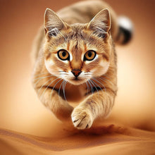 Load image into Gallery viewer, Diamond Painting - Full Round - cat (35*35CM)
