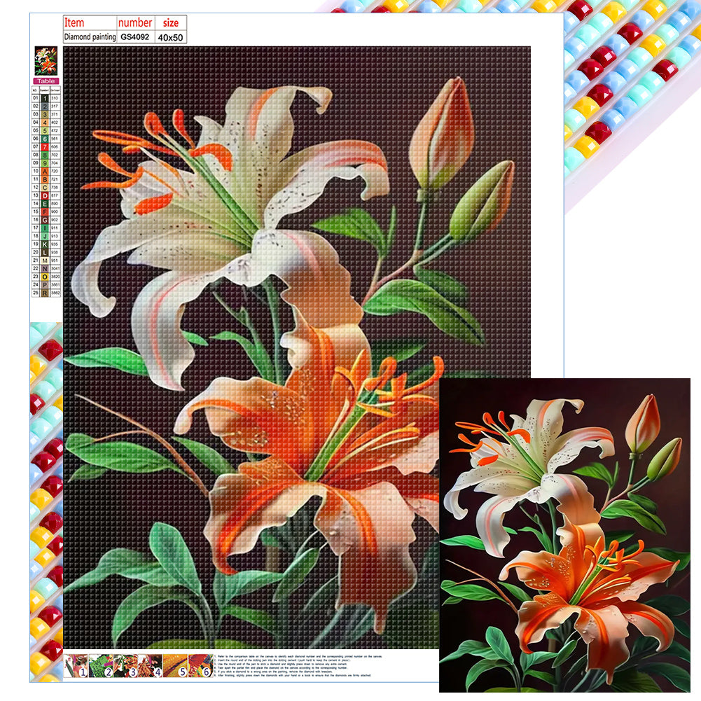 Diamond Painting - Full Round - lily (40*50CM)