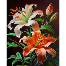 Load image into Gallery viewer, Diamond Painting - Full Round - lily (40*50CM)
