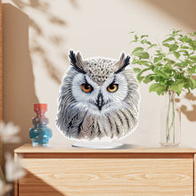 Load image into Gallery viewer, White Head Owl Special Shape Desktop Diamond Art Kits Desktop Decor (Cute Owl)

