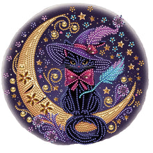 Load image into Gallery viewer, Diamond Painting - Partial Special Shaped - Personalized black cat (30*30CM)
