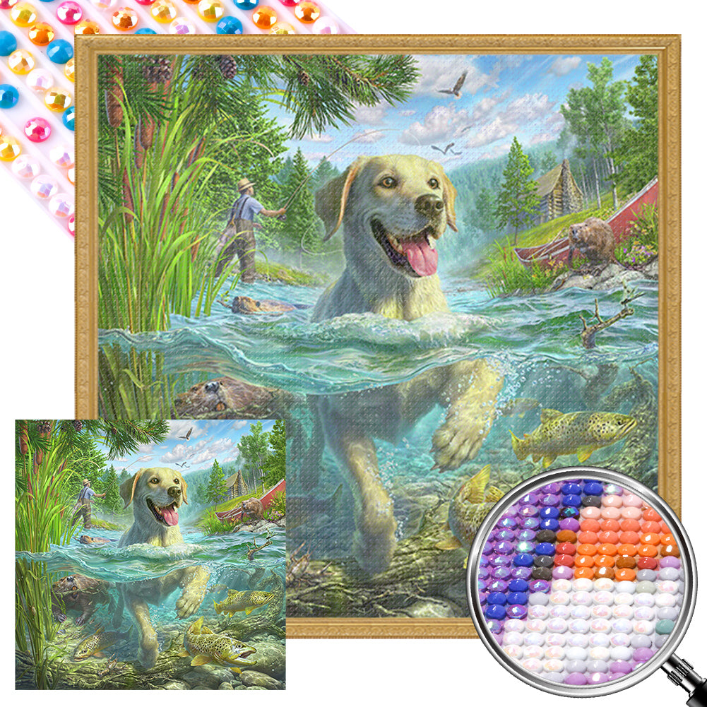 AB Diamond Painting - Full Round - Labrador dog swimming (40*40CM)