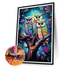 Load image into Gallery viewer, Diamond Painting - Full Round - owl (30*45CM)
