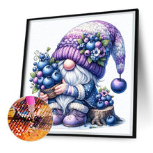 Load image into Gallery viewer, Diamond Painting - Full Round - Grape Gnome (30*30CM)
