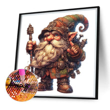 Load image into Gallery viewer, Diamond Painting - Full Square - goblin (30*30CM)
