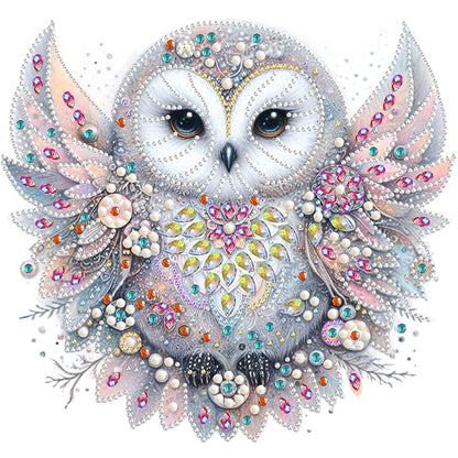 Diamond Painting - Partial Special Shaped - bald owl (30*30CM)