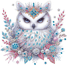 Load image into Gallery viewer, Diamond Painting - Partial Special Shaped - bald owl (30*30CM)
