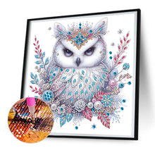 Load image into Gallery viewer, Diamond Painting - Partial Special Shaped - bald owl (30*30CM)
