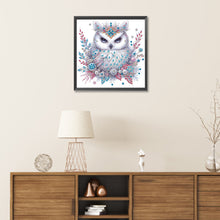 Load image into Gallery viewer, Diamond Painting - Partial Special Shaped - bald owl (30*30CM)
