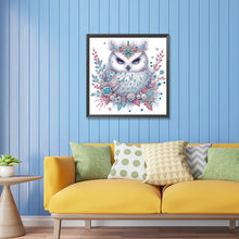 Load image into Gallery viewer, Diamond Painting - Partial Special Shaped - bald owl (30*30CM)
