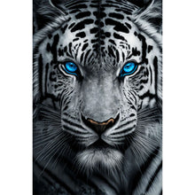 Load image into Gallery viewer, AB Diamond Painting - Full Round - White tiger with blue eyes (40*60CM)
