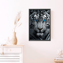 Load image into Gallery viewer, AB Diamond Painting - Full Round - White tiger with blue eyes (40*60CM)
