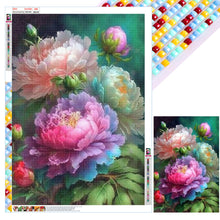 Load image into Gallery viewer, Diamond Painting - Full Square - peony (50*70CM)
