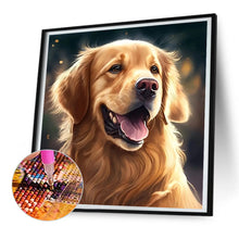 Load image into Gallery viewer, Diamond Painting - Full Round - golden retriever dog (30*30CM)
