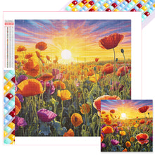 Load image into Gallery viewer, Diamond Painting - Full Square - Poppy flower sea (40*40CM)

