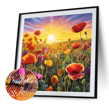 Load image into Gallery viewer, Diamond Painting - Full Square - Poppy flower sea (40*40CM)
