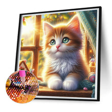 Load image into Gallery viewer, Diamond Painting - Full Round - Glowing cat by the window (30*30CM)
