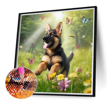 Load image into Gallery viewer, Diamond Painting - Full Round - Grass puppy collie (40*40CM)

