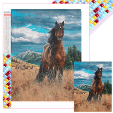 Load image into Gallery viewer, Diamond Painting - Full Square - horse (30*40CM)
