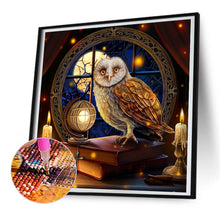 Load image into Gallery viewer, Diamond Painting - Full Round - owl (30*30CM)
