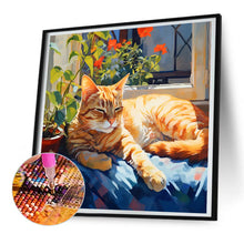 Load image into Gallery viewer, Diamond Painting - Full Round - Cat basking in the sun (30*30CM)
