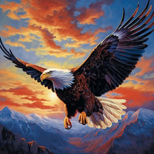 Load image into Gallery viewer, Diamond Painting - Full Round - soaring eagle (40*40CM)
