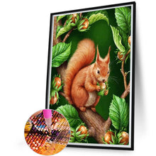 Load image into Gallery viewer, AB Diamond Painting - Full Square - Eating squirrels (45*60CM)
