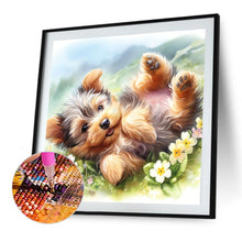 Load image into Gallery viewer, Diamond Painting - Full Round - Spring Yorkshire Terrier (40*40CM)
