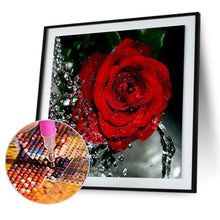 Load image into Gallery viewer, Rose Red 30*30CM(Canvas) Round Drill Diamond Painting
