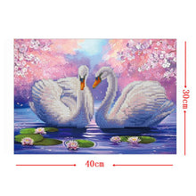 Load image into Gallery viewer, Two White Swans 40*30CM(Canvas) Round Drill Diamond Painting
