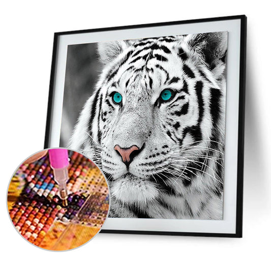 Tiger Head 30*30CM(Canvas) Full Round Drill Diamond Painting