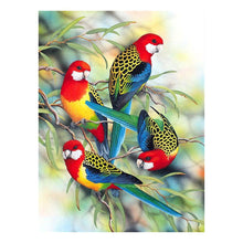 Load image into Gallery viewer, Bird 30*38CM(Canvas) Partial Round Drill Diamond Painting
