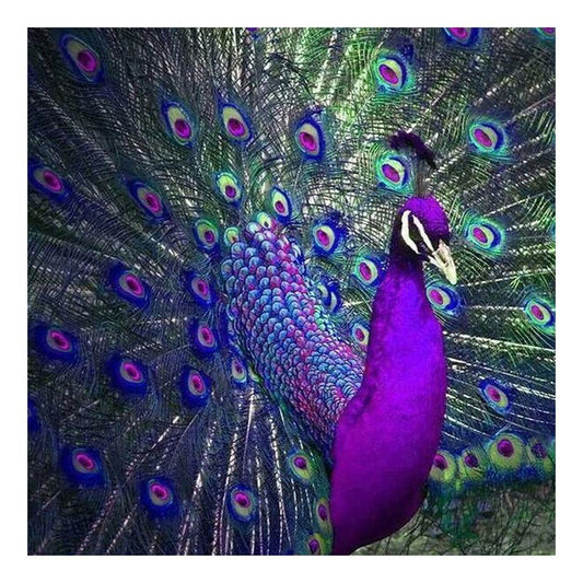 Animal 30*30CM(Canvas) Full Round Drill Diamond Painting