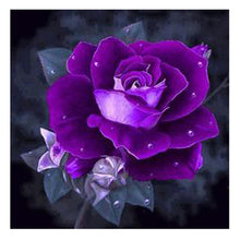 Load image into Gallery viewer, Purple Rose 25*25CM(Canvas)-Full Square Drill Diamond Painting
