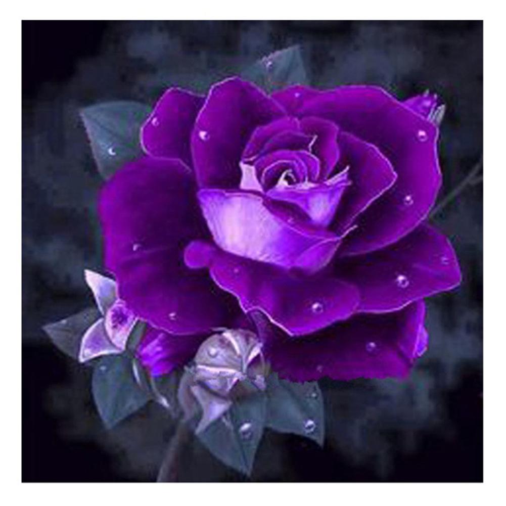 Purple Rose 25*25CM(Canvas)-Full Square Drill Diamond Painting