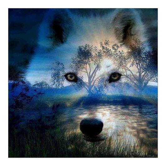 Wolf Animal 30*30CM(Canvas)-Special Shaped Drill Diamond Painting