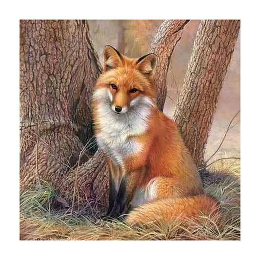 Fox 30*30CM(Canvas) Full Round Drill Diamond Painting