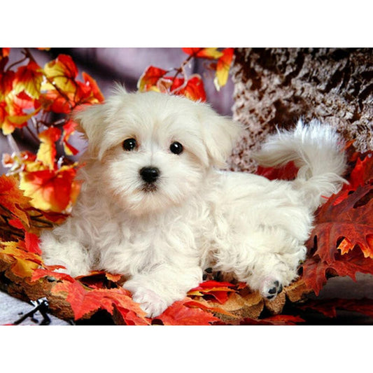White Dog 40*30CM(Canvas) Full Round Drill Diamond Painting