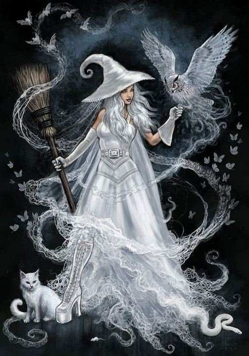 AB Diamond Painting - Full Round - The witch (40*60CM)