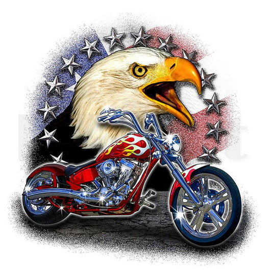 Motorcycle Eagle 30*30CM(Canvas) Special Shaped Drill Diamond Painting