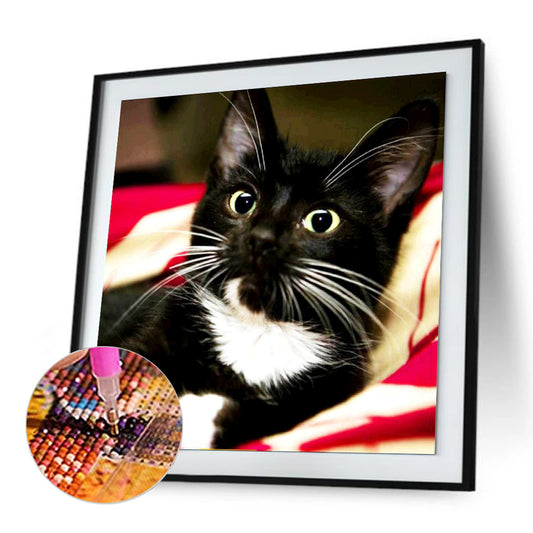 Long Whisker Black Cat 30*30CM(Canvas) Full Round Drill Diamond Painting