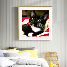 Load image into Gallery viewer, Long Whisker Black Cat 30*30CM(Canvas) Full Round Drill Diamond Painting
