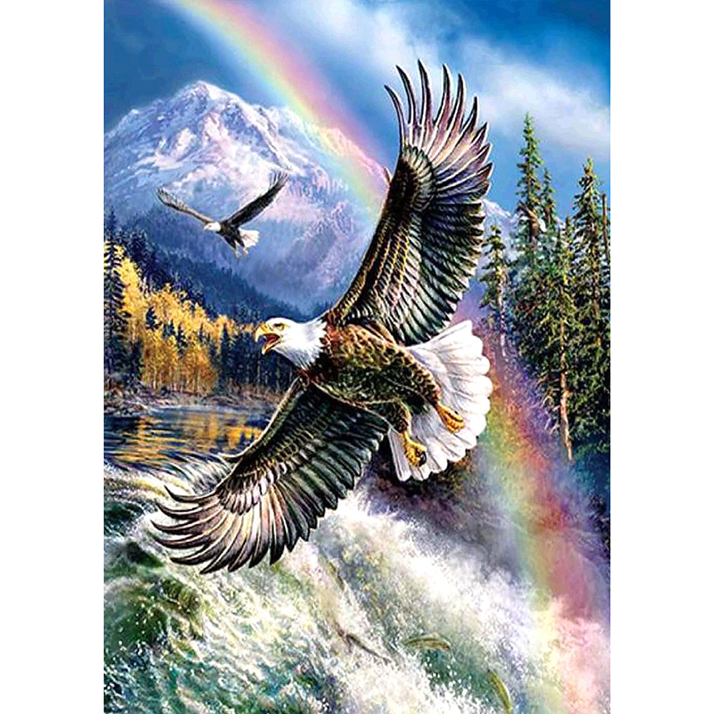 Flying Eagle 30*40cm(canvas) full square drill diamond painting