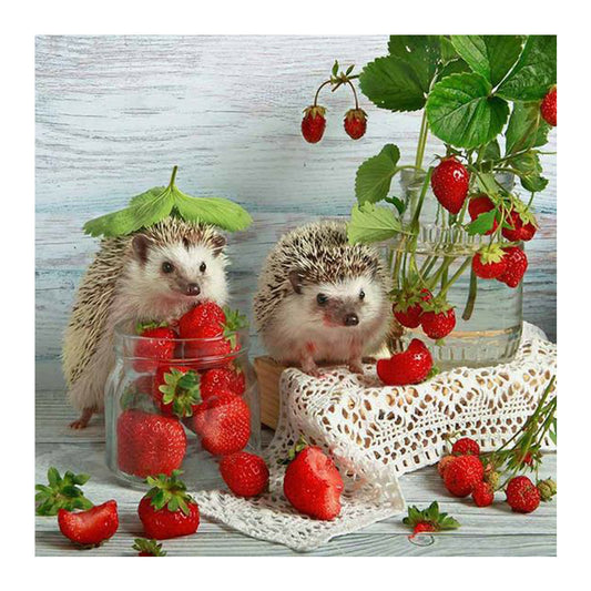 Fruit Hedgehog 30*30cm(canvas) full round drill diamond painting