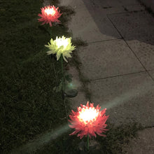 Load image into Gallery viewer, 2pcs LED Solar Light Chrysanthemum Lawn Stake Lamps Garden Decor (White)
